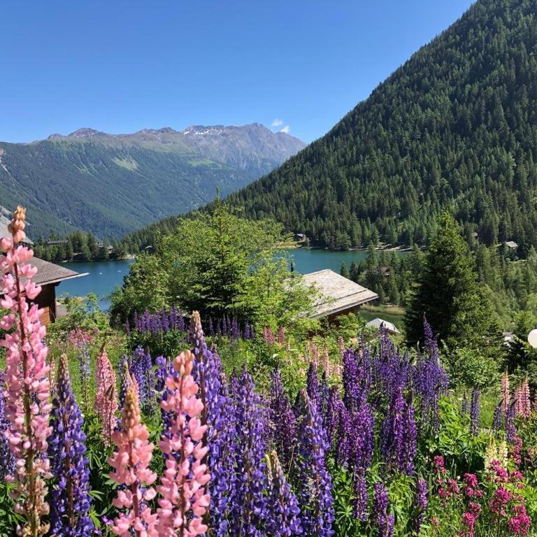 Au Vieux Champex Appartement Buitenkant foto